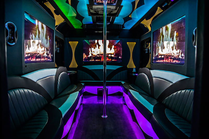 20-passenger party bus rental